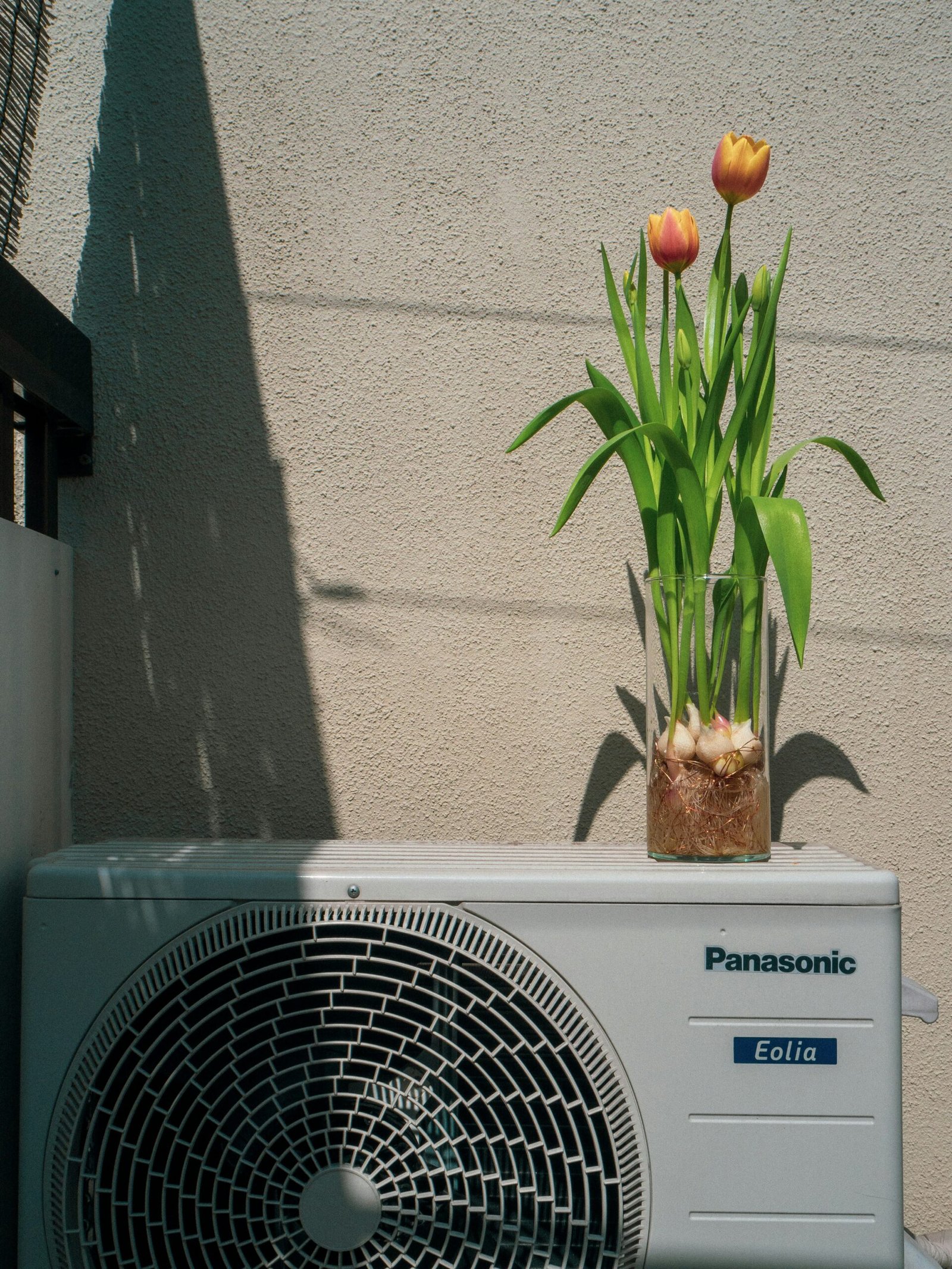 flowers on an air conditioning unit